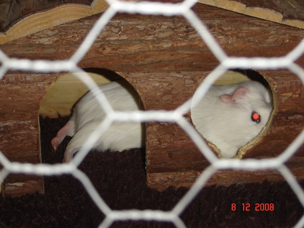 DSC04378.jpg