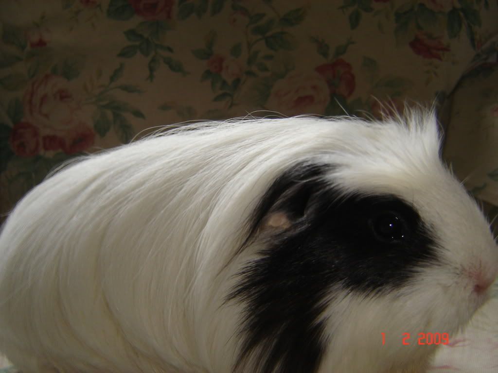 DSC04614.jpg