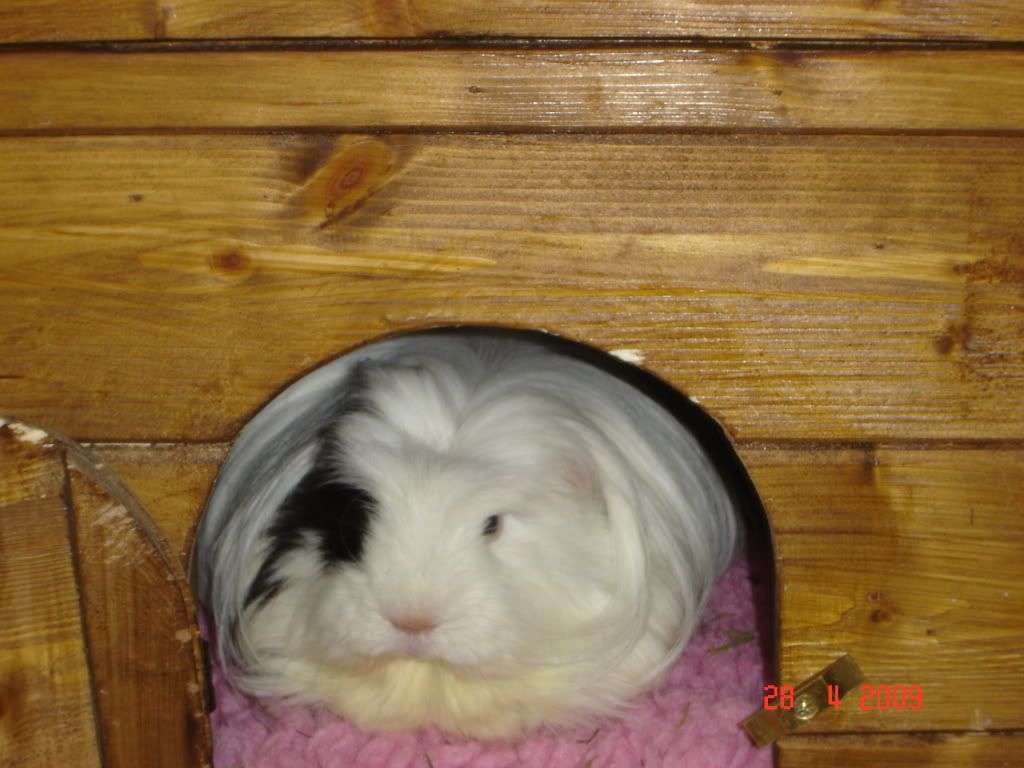 DSC04726.jpg
