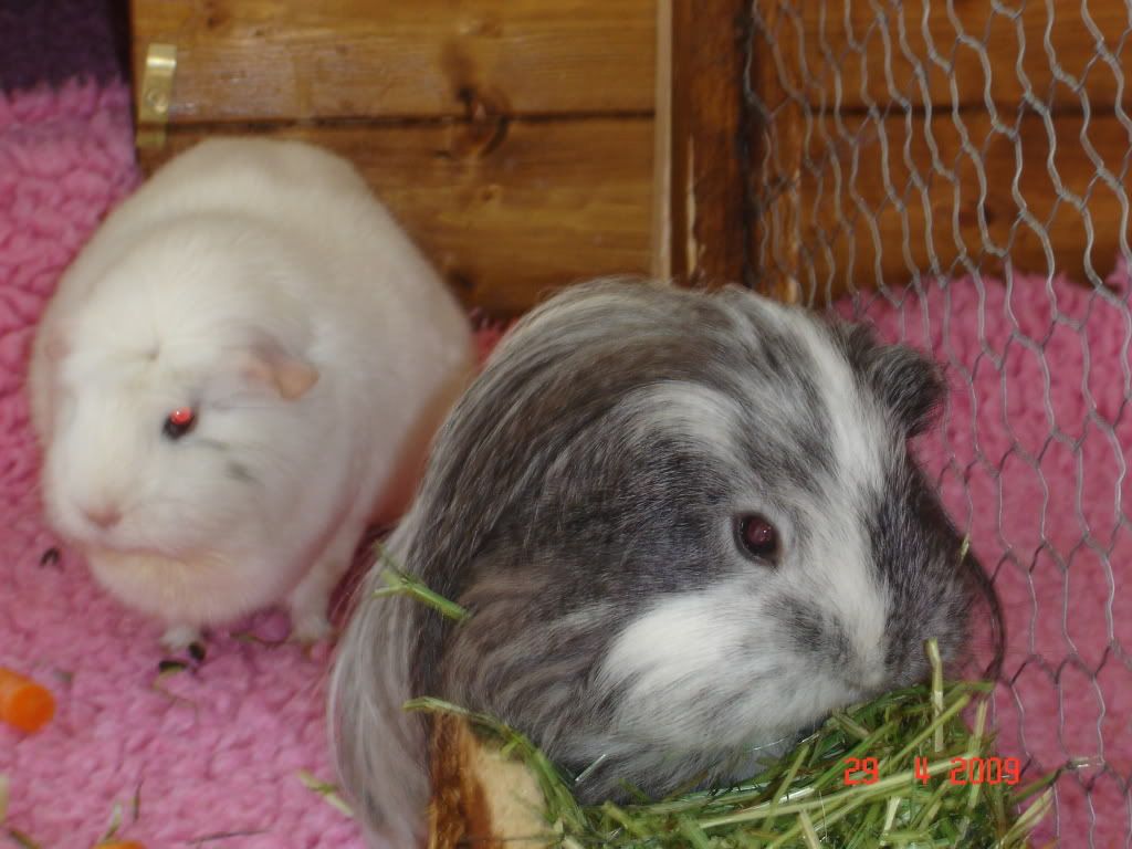DSC04732.jpg