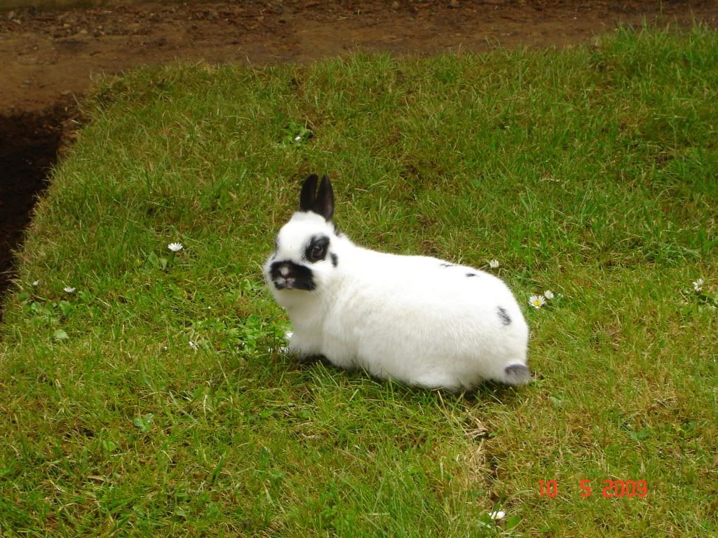 DSC04763.jpg