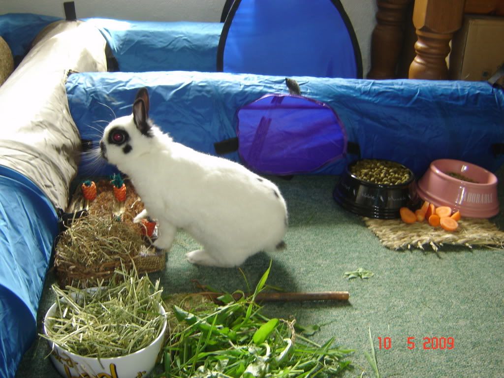 DSC04782.jpg