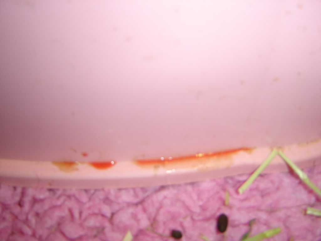 DSC04951.jpg