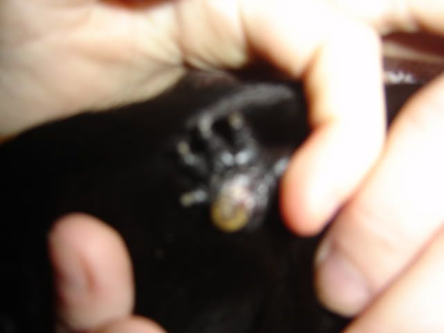 DSC05102.jpg