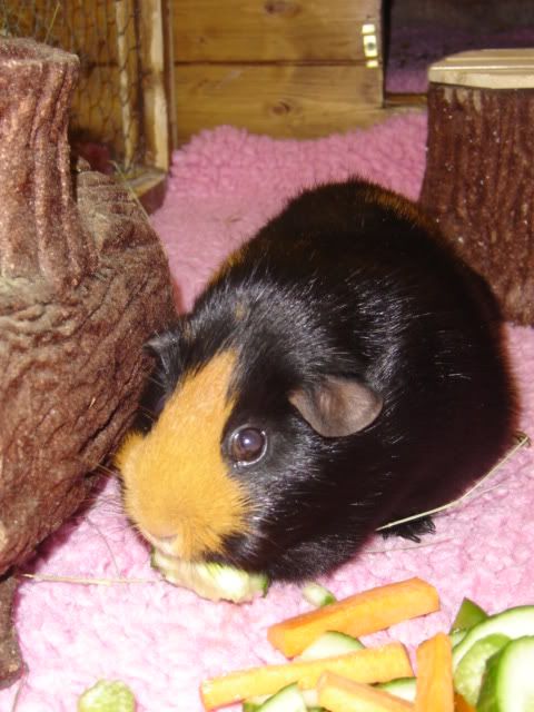 DSC05107.jpg