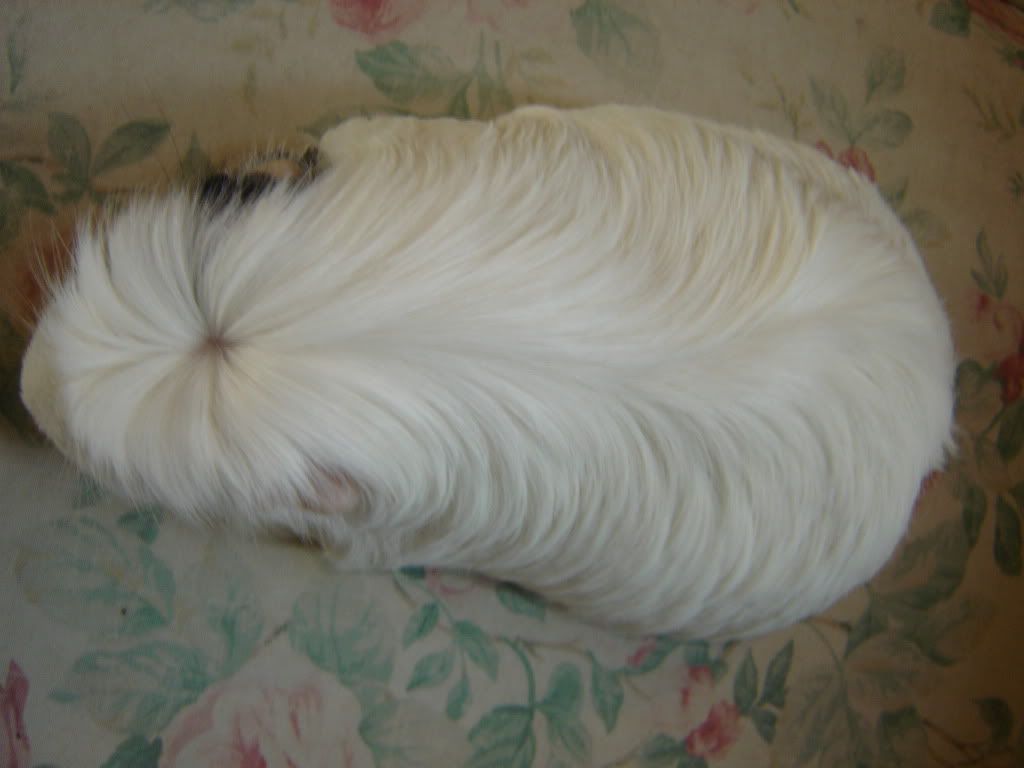 DSC05186.jpg