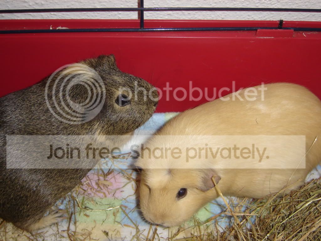DSC05187.jpg