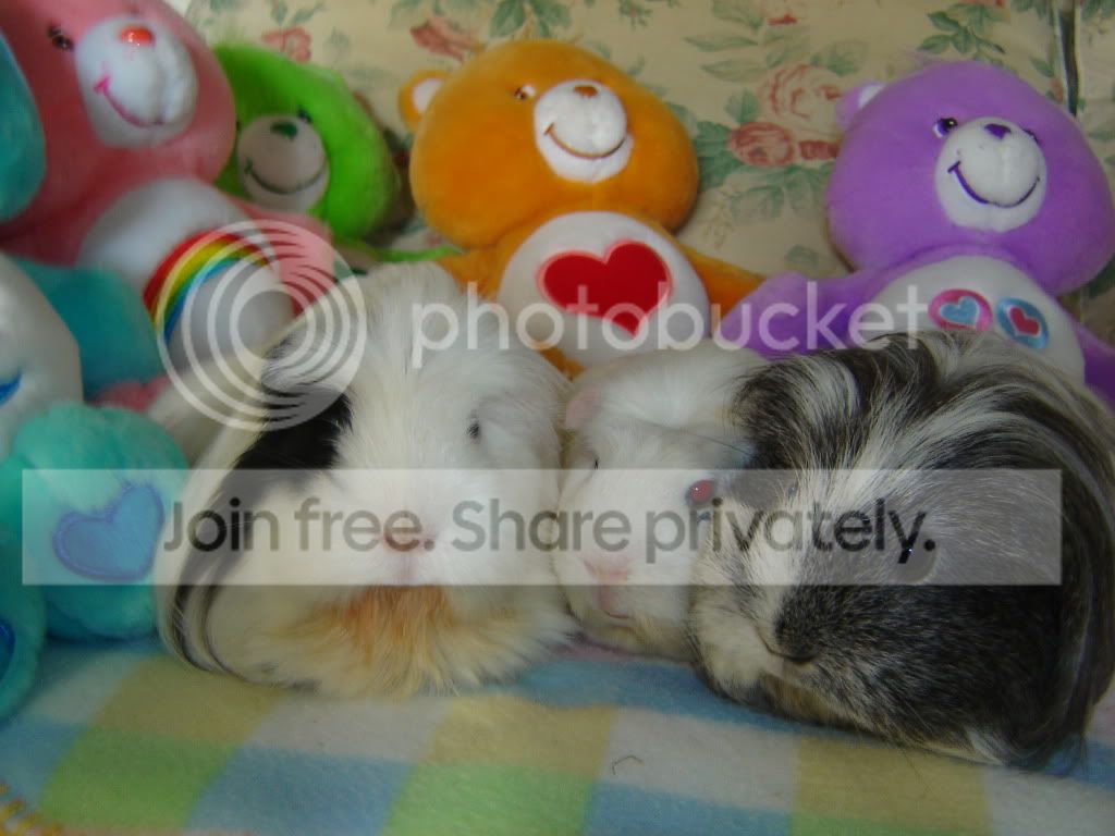 DSC05242.jpg