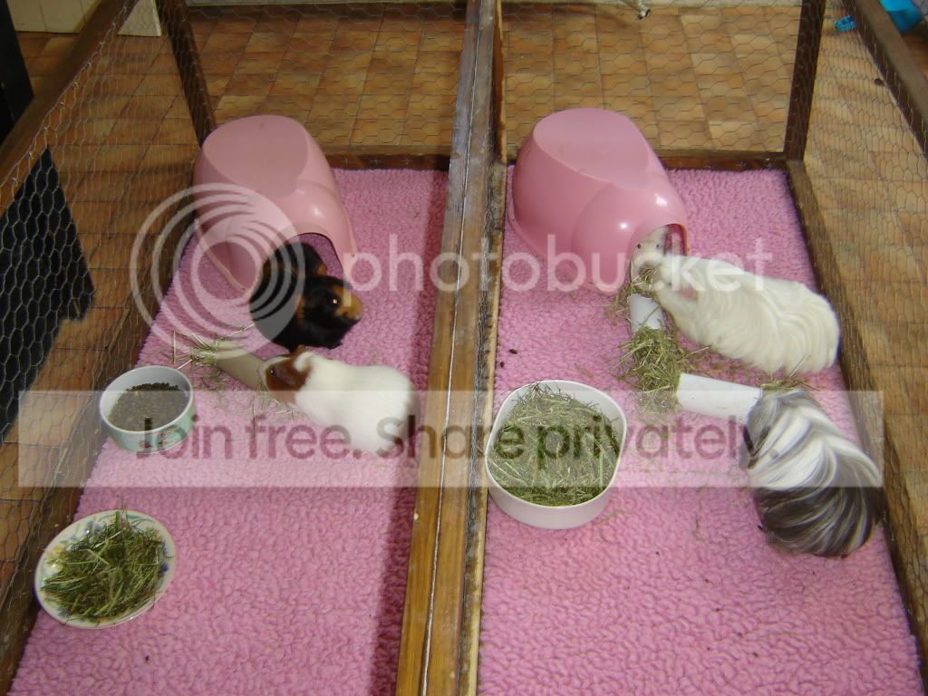 DSC05248.jpg