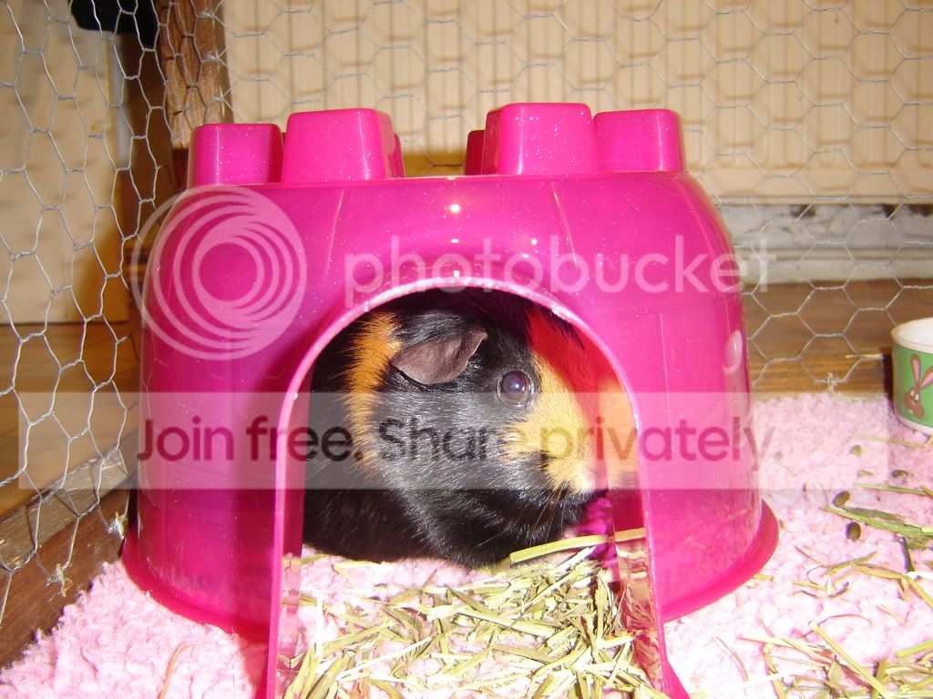 DSC05257.jpg