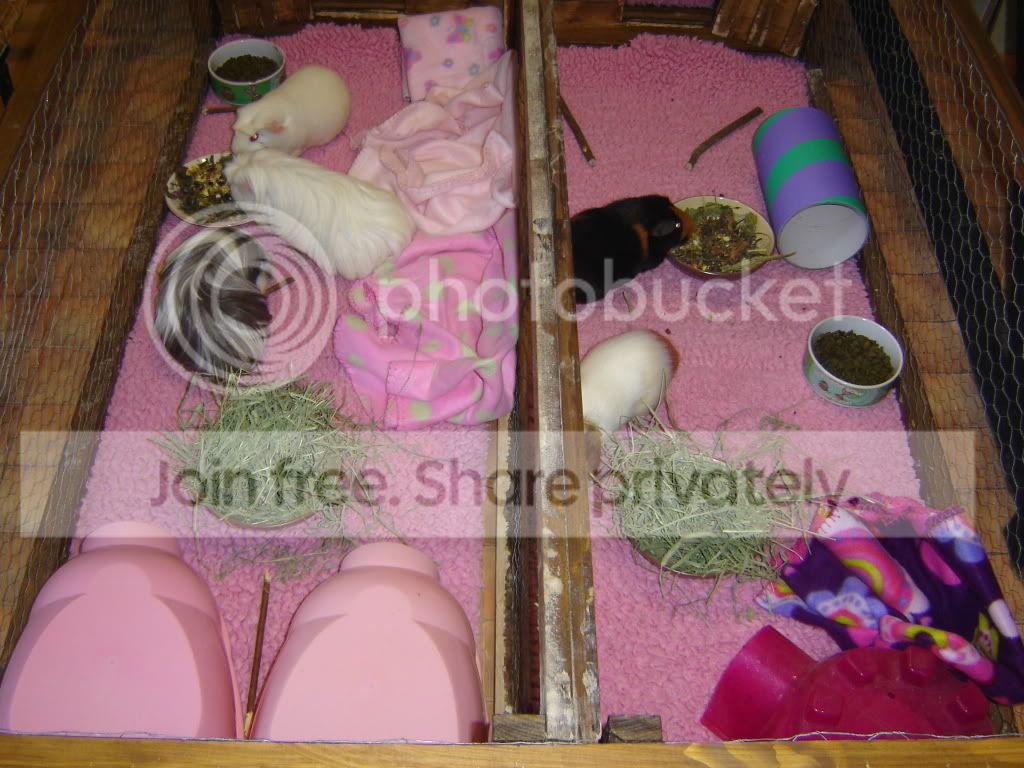 DSC05310.jpg