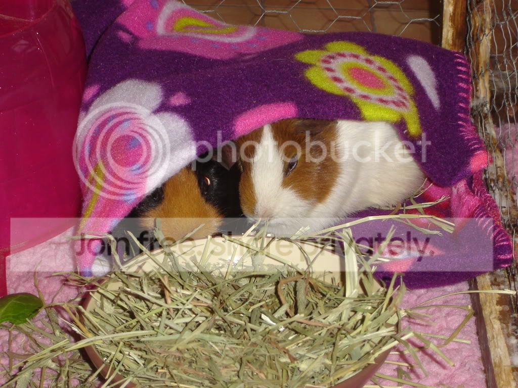 DSC05421.jpg