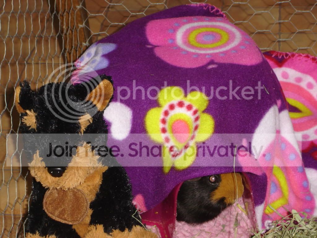 DSC05456.jpg