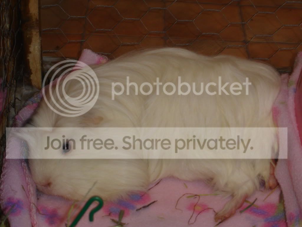 DSC05544.jpg