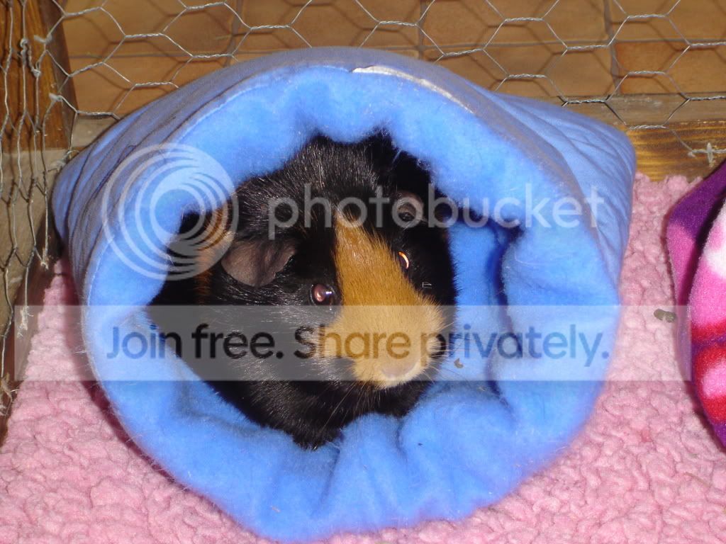 DSC05609.jpg