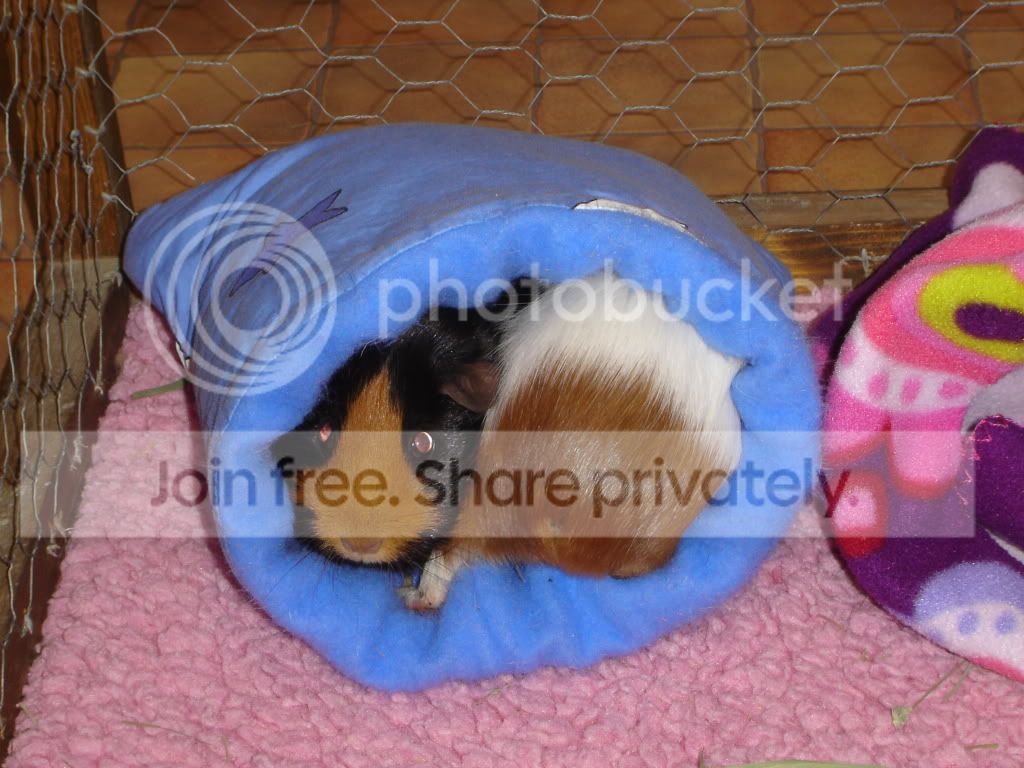 DSC05614.jpg