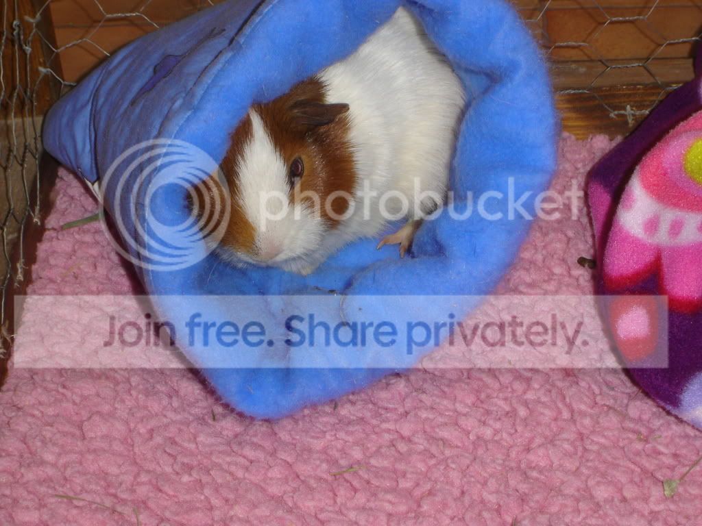 DSC05615.jpg