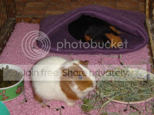 DSC05808.jpg