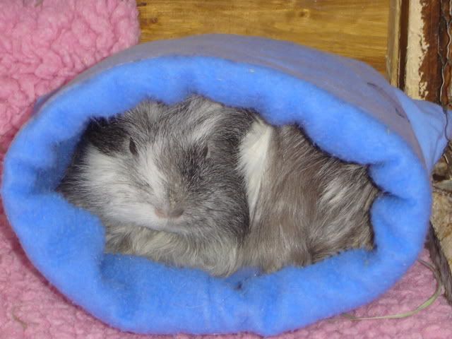 DSC05816.jpg