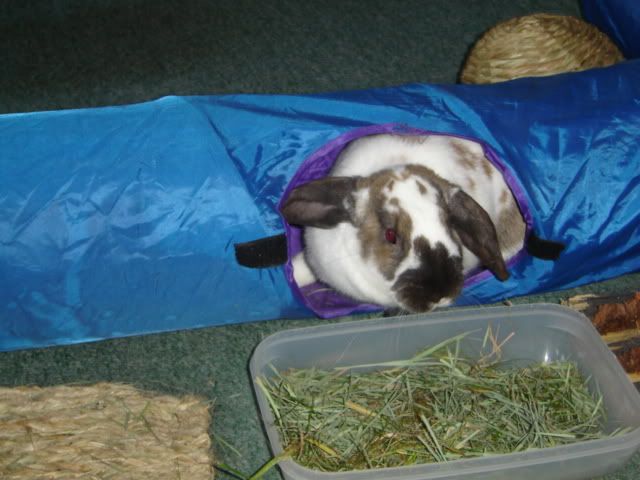 DSC05855.jpg