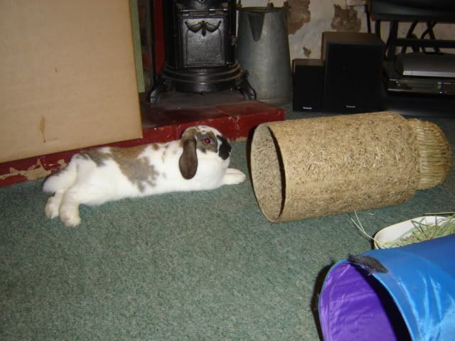 DSC05857.jpg