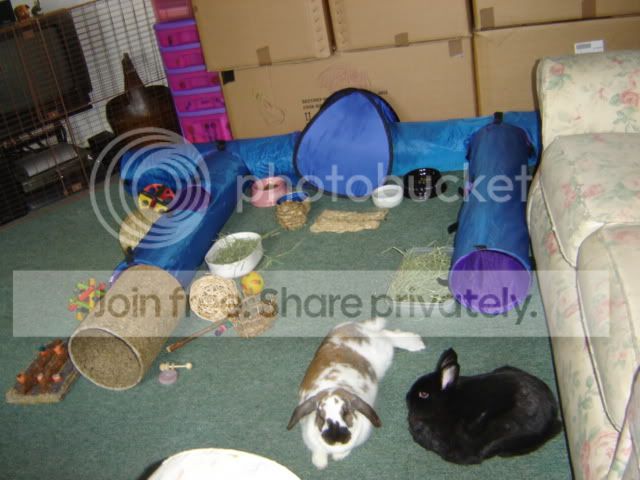 DSC05977.jpg
