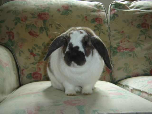 DSC06416.jpg