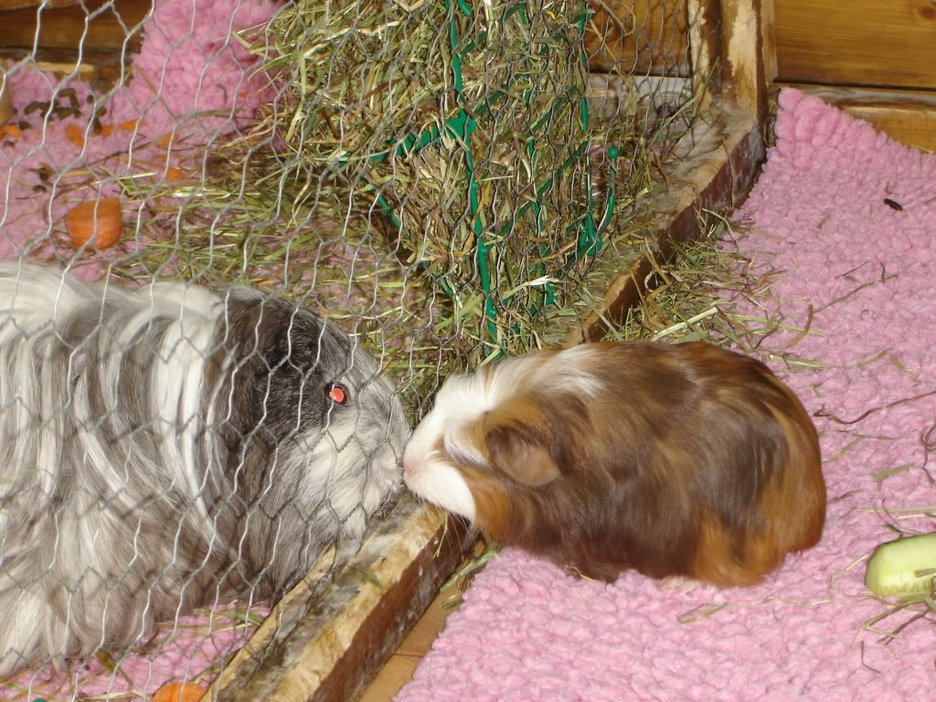 DSC06618.jpg