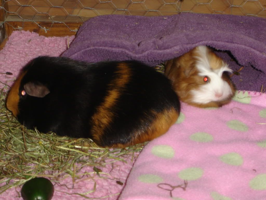 DSC06643.jpg