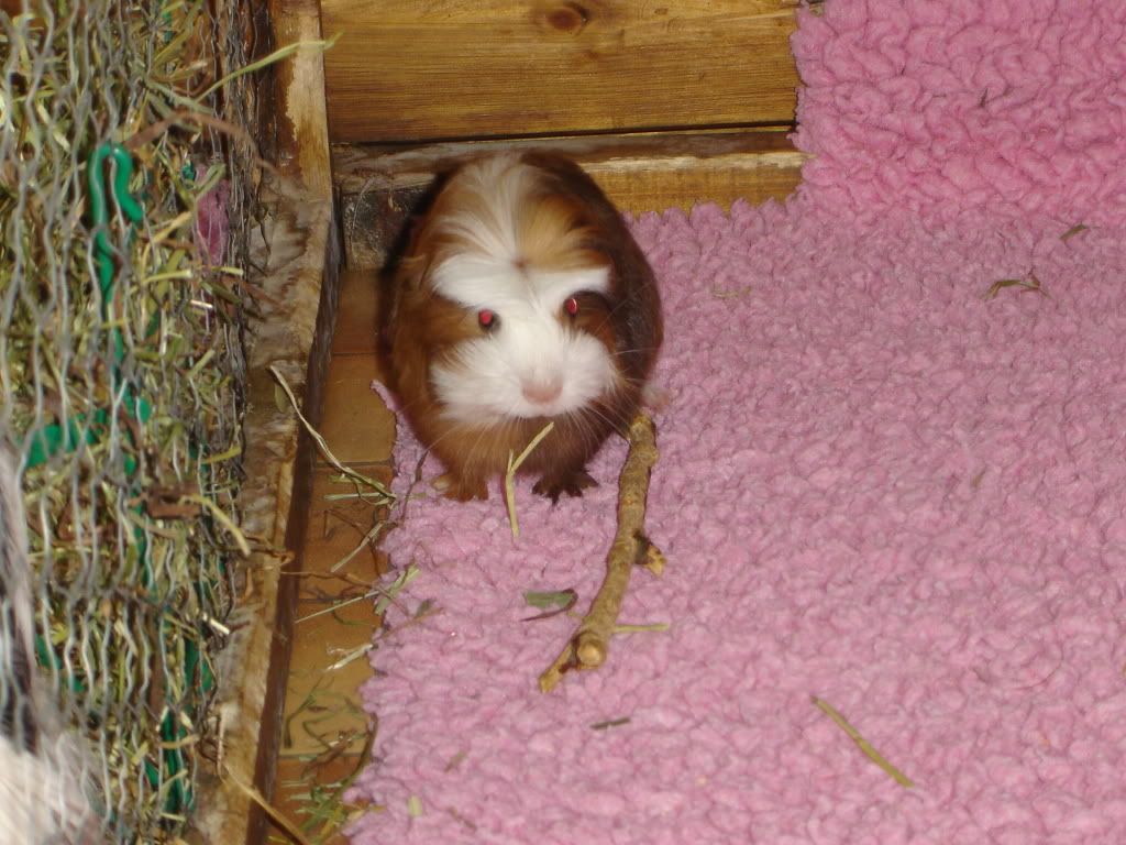 DSC06647.jpg