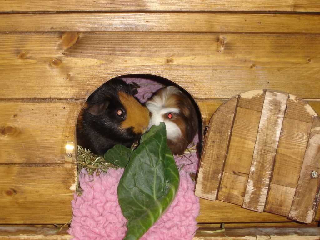 DSC06654.jpg