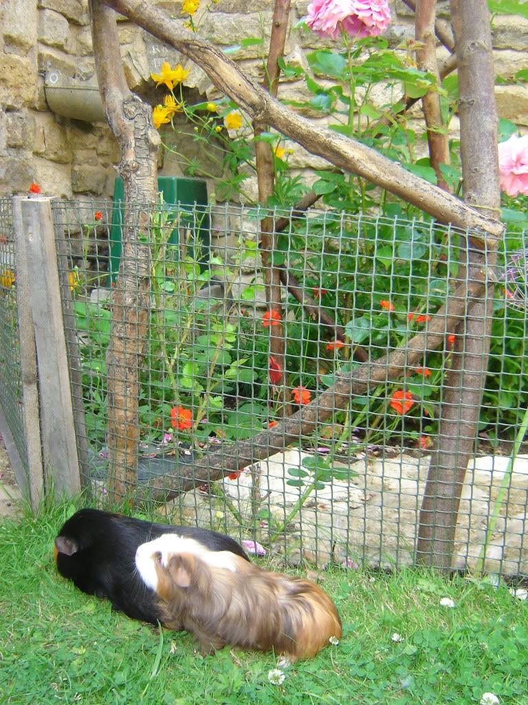 DSC06725.jpg