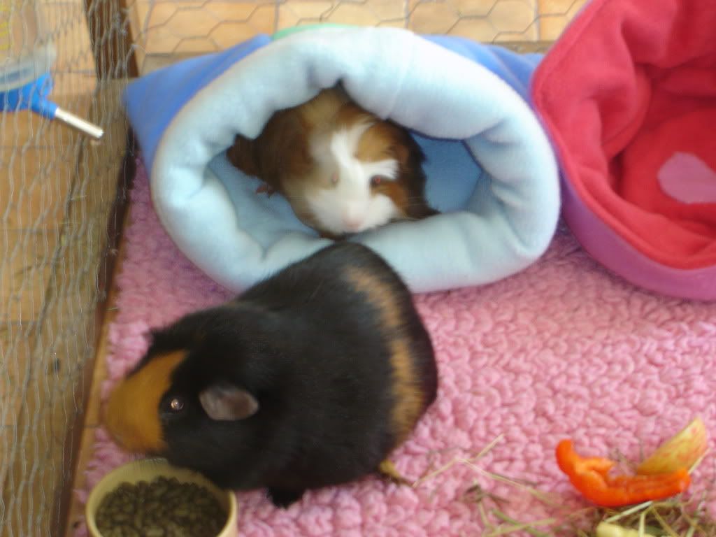 DSC06765.jpg