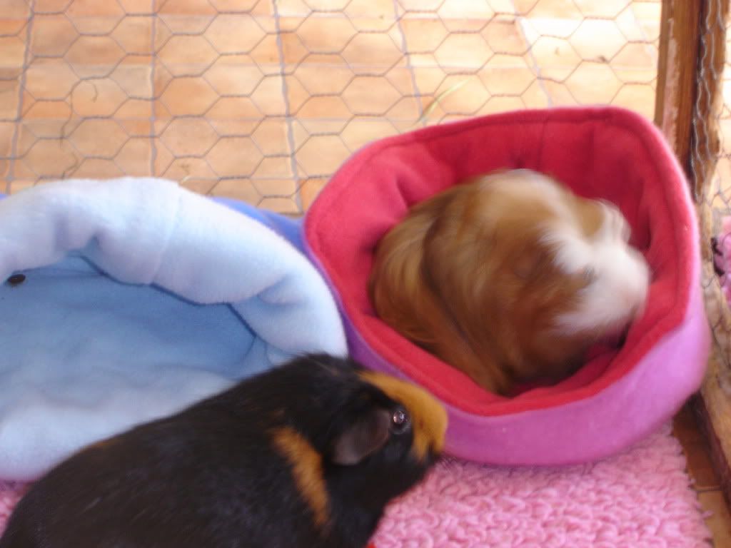 DSC06767.jpg