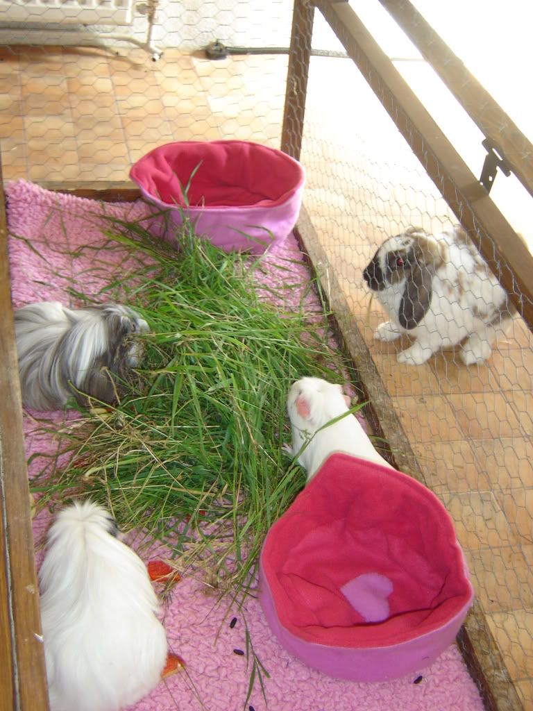 DSC06785.jpg