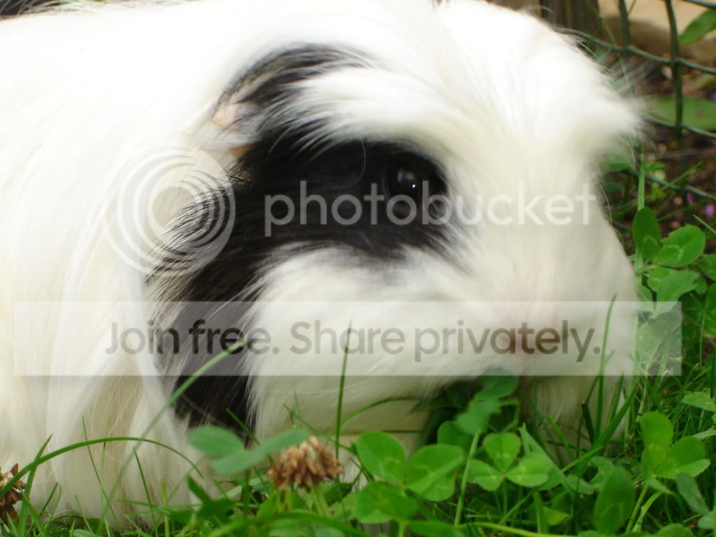 DSC06940.jpg