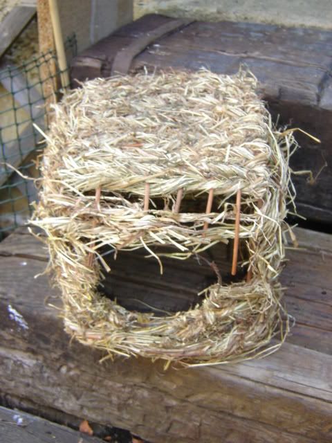 GrassNest1.jpg