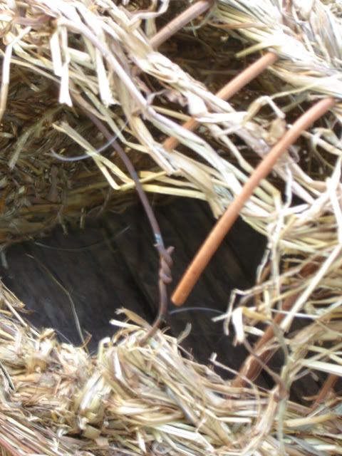 GrassNest2.jpg