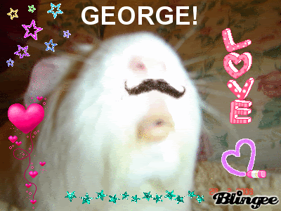 georgebling.gif