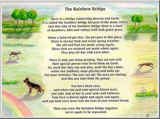rainbow_bridge_poem.jpg