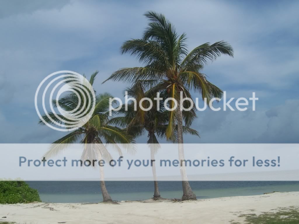 https://i258.photobucket.com/albums/hh248/LuigiMcOwnage/Cayman%202009/102_4003.jpg
