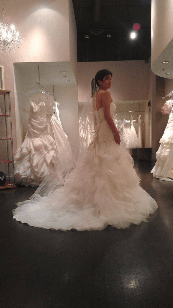 dressback