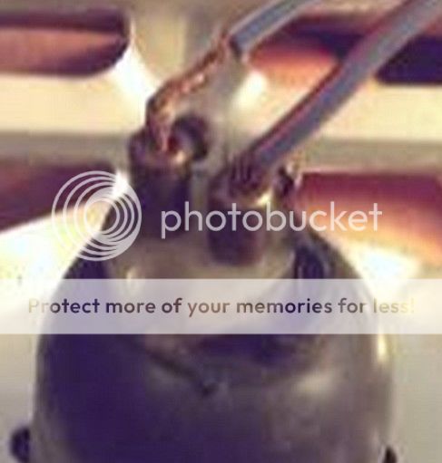 IMAG2287_crop.jpg~original