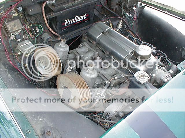 P3170006.jpg~original