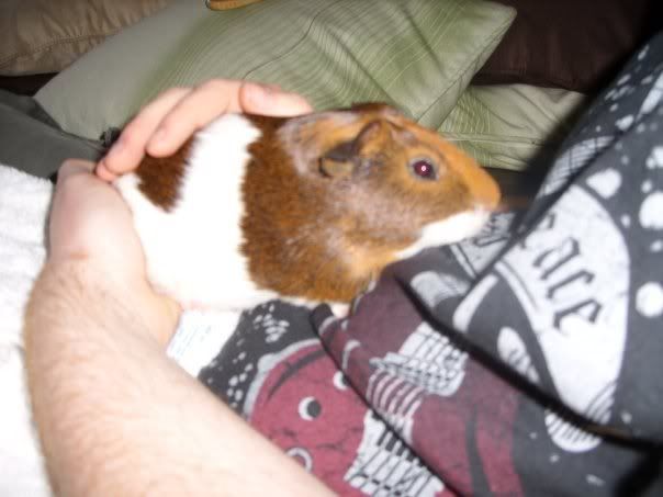 babychester.jpg