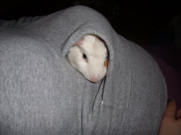 tufftyhiding.jpg