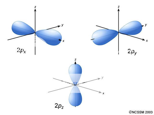 Shape of the p-orbital - Chemistry Help Forum