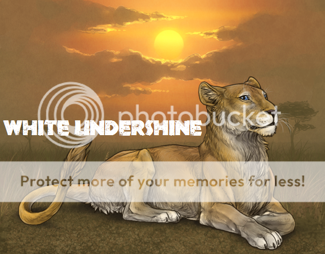 the naturalists [selling thread!