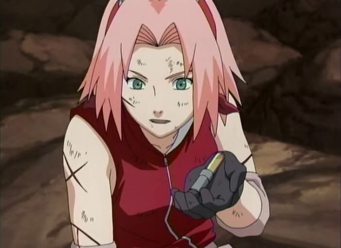 [PokeCommunity.com] The Naruto Fan Club
