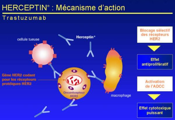 photo trastusumab_zps217a88f4.jpg